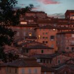 pexels-kovyrina-36242658