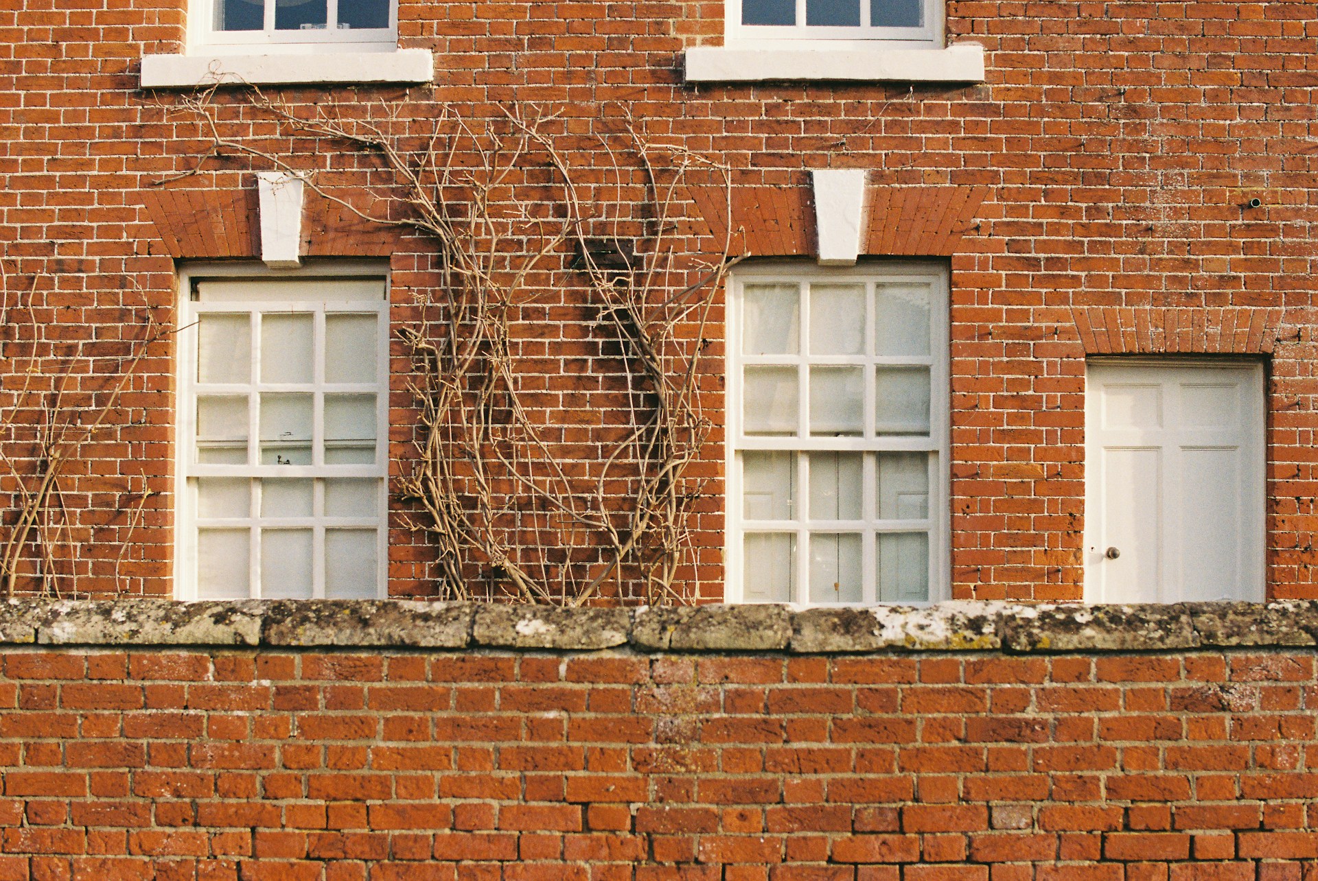 tanya-barrow-tN-RXcmFRLo-unsplash